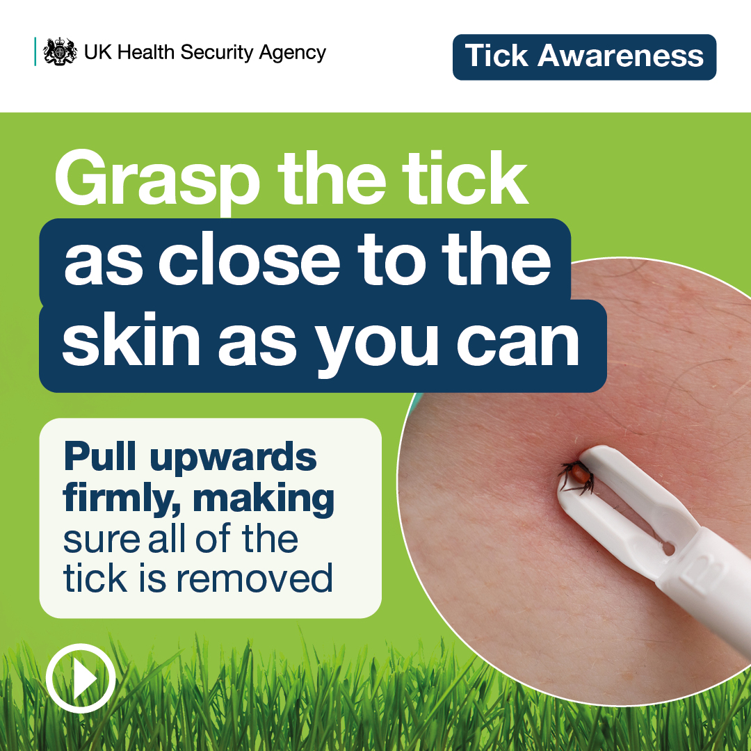 If you’ve been bitten by a tick, here’s a simple guide to removing a tick effectively, symptoms of #LymeDisease and what to do if you become unwell More info: ukhsa.blog.gov.uk/2024/03/21/wha…