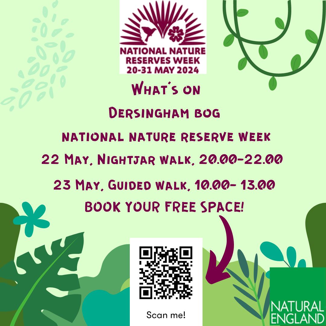 🔥It's our first event reveal!

🐦Come join us on 22 & 23 May at Dersingham bog for a nightjar walk and guided tour

🌿Learn about this NNR's geological history and what makes it such a good habitat for breeding nightjars

📲 Book your FREE space now!

#NNRweek #nnrweek24