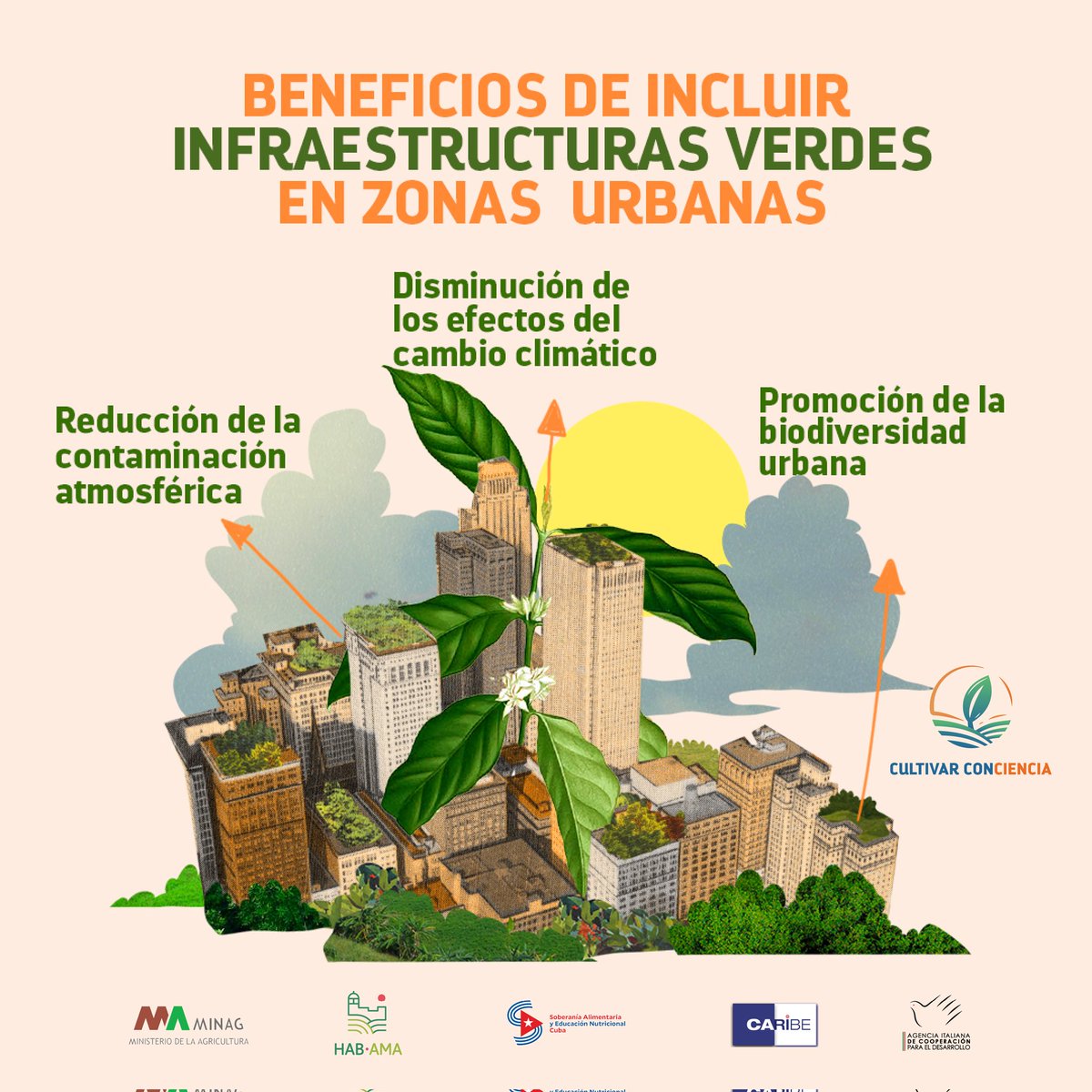 La incorporación de infraestructuras verdes en zonas urbanas dan respuesta a amenazas climáticas, procesos erosivos y pérdidas de biodiversidad.
🔸 ¿Qué beneficios tienen para la gestión sostenible de la vida en las ciudades? 🌱🌳🏙️🇨🇺
#Cuba #AgroalimPorCuba #SoberaníaAlimentaria