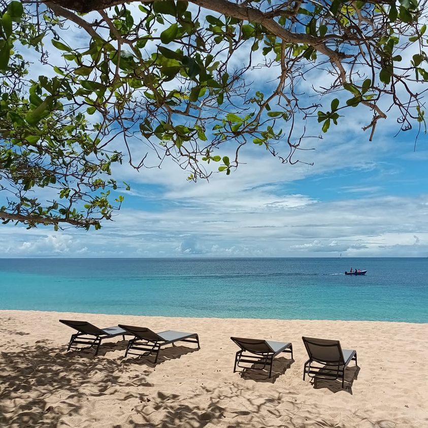 Friday island vibes 😎

thelookoutbequia.com 

#bequia #sunlounger #beachlife #islandparadise #grenadines #fridayfeeling