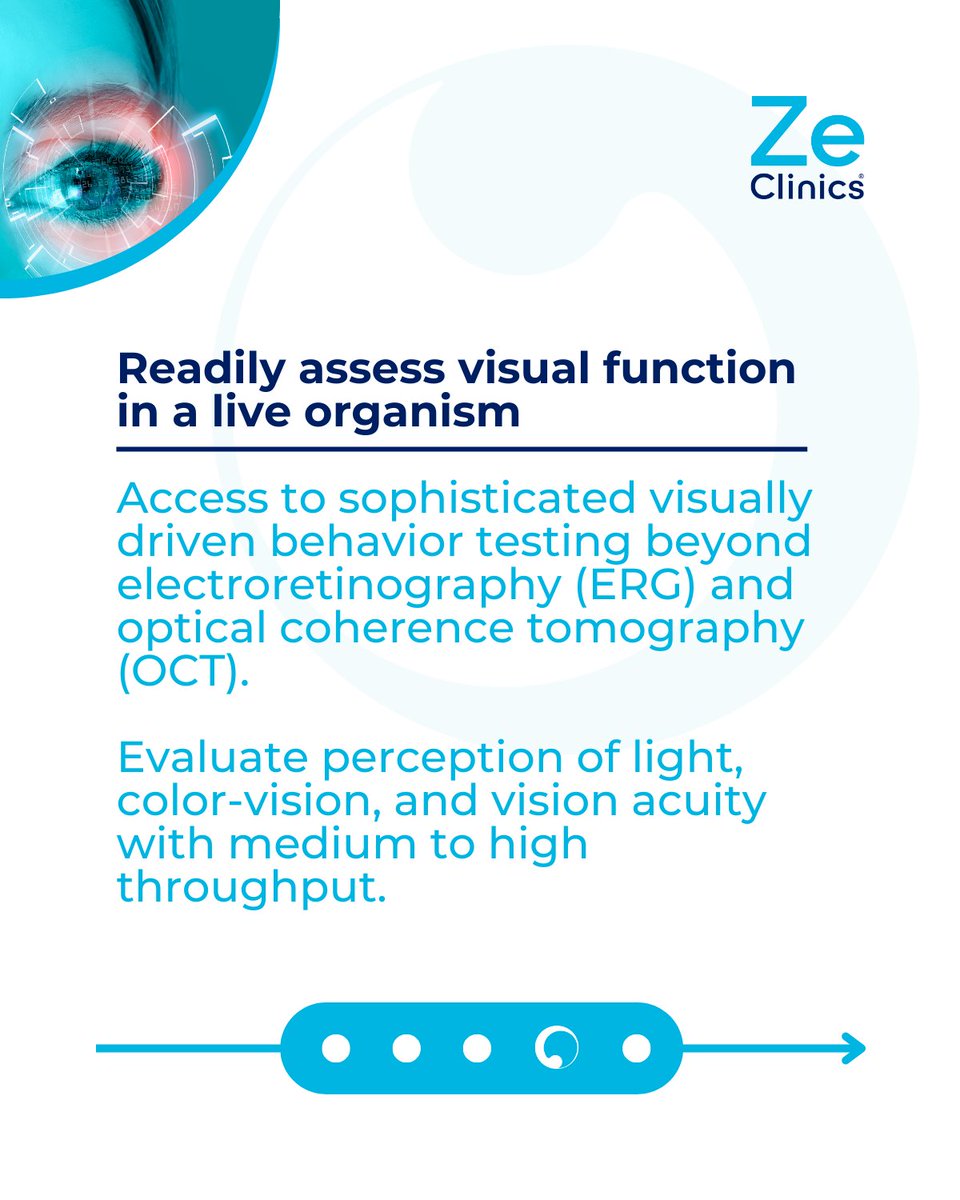 Easily evaluate visual function in real-time with zebrafish. Beyond ERG and OCT, tap into advanced visually driven behavior testing. Assess light perception, color vision, and vision acuity with efficient medium to high throughput. #Zebrafish #VisionResearch