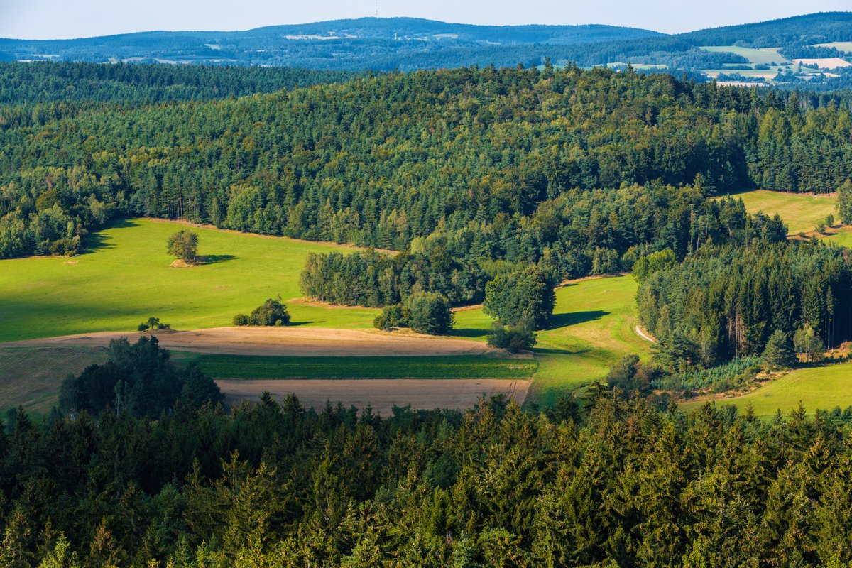 #DiscoverCEE with the IDM 🌱 Ever heard of 'Czech Canada'?🇨🇿 Gentle hills, thick forests and diverse flora & fauna along the border with Austria. Perfect to explore by bike🚲 Find out more 👉 visitczechia.com/en-us/things-t… @VisitCZ