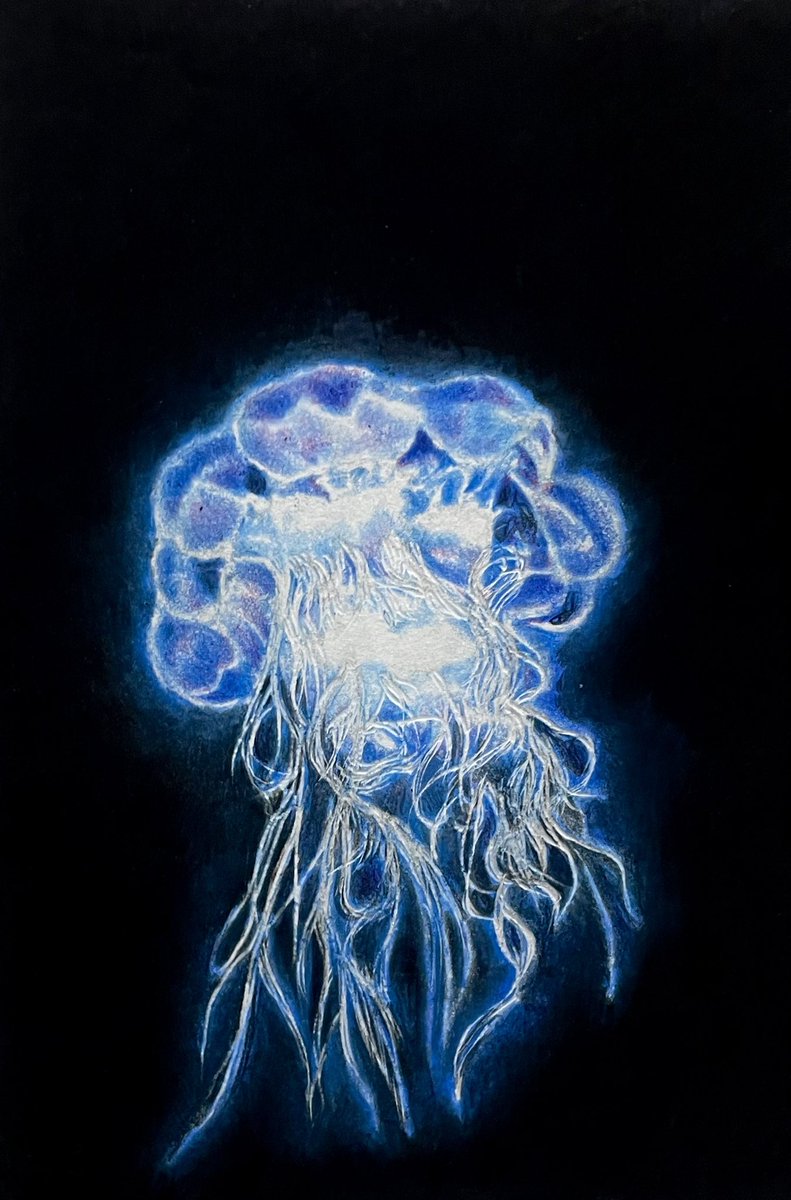 simple background no humans blue background traditional media painting (medium) watercolor (medium) jellyfish general  illustration images