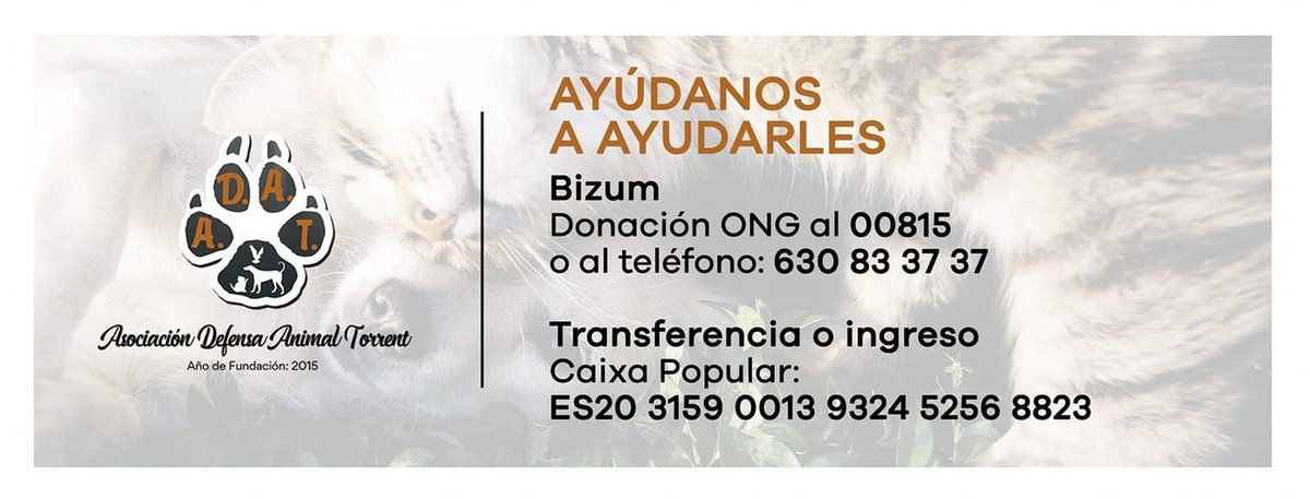 ✅SENTIMOS COMUNICAR QUE YA NO PODEMOS HACERNOS CARGO DE MÁS CASOS DE ANIMALES QUE NECESITEN ATENCIÓN VETERINARIA O SE ENCUENTREN EN SITUACIÓN DE ABANDONO. 🚫❌ 🔴 TENEMOS EN LA CUENTA BANCARIA 1,72 €. 🔴 twitter.com/AsociacionADAT…