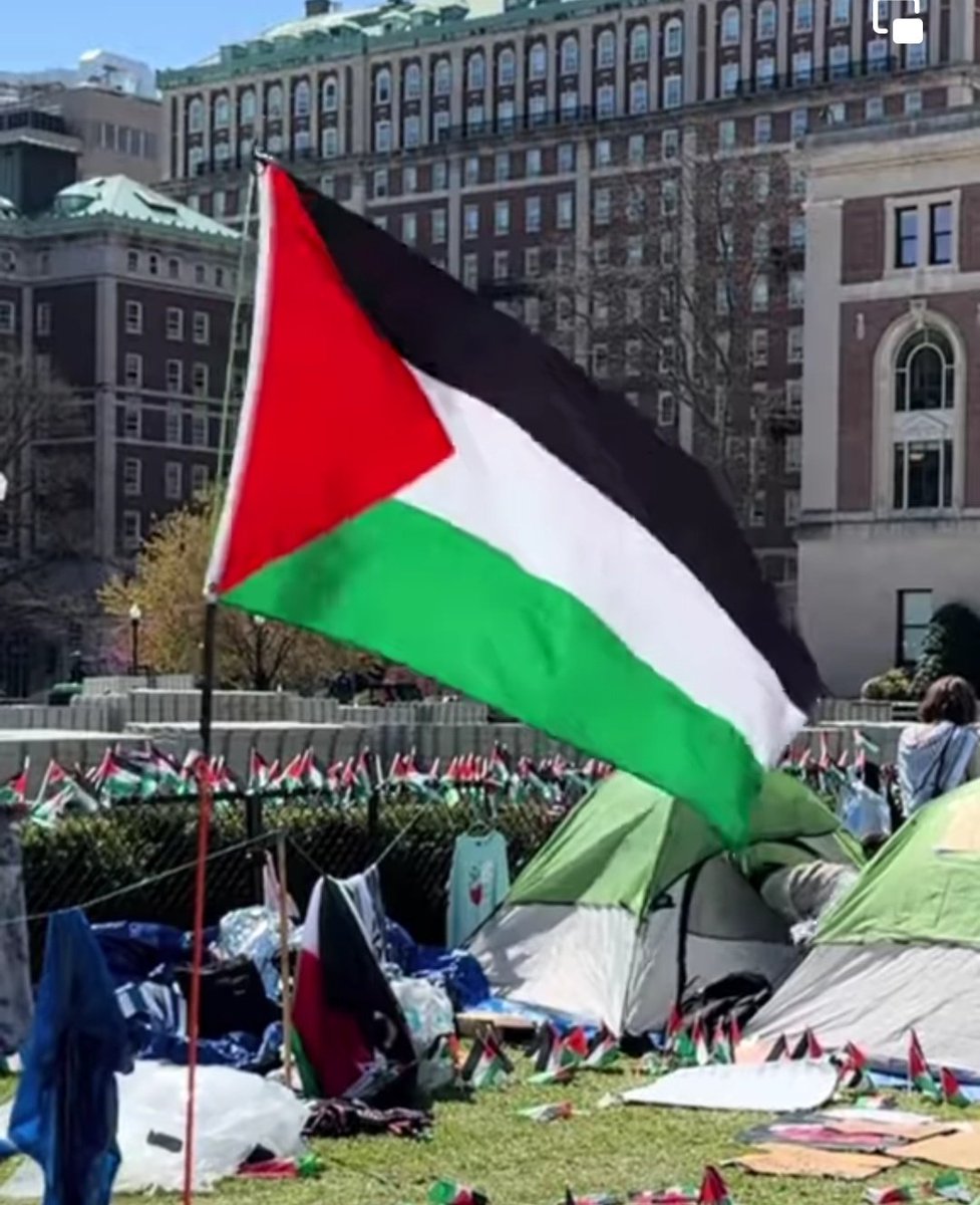 Los estudiantes de la Universidad de Columbia están haciendo historia ✊🏻❤️🇵🇸 'No nos pararán'. #FreePalestine