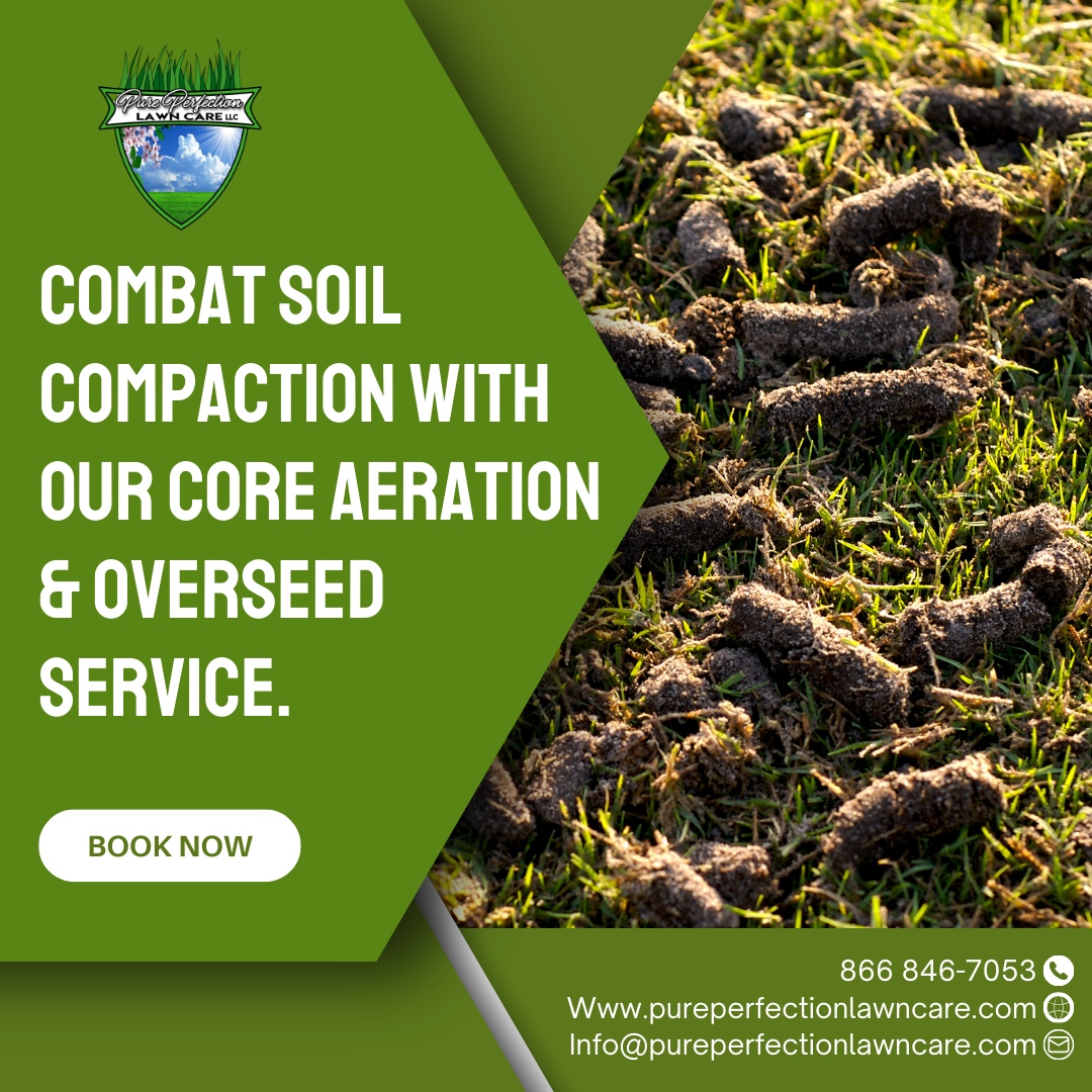 Contact us to schedule your service! 🌱 Let's give your soil the TLC it needs to support healthy grass growth!

🌐 pureperfectionlawncare.com
📞 866 846-7053
📧 Info@pureperfectionlawncare.com

#PurePerfectionLawnCare #lawncare #landscaping #lawn #lawnmaintenance #landscape