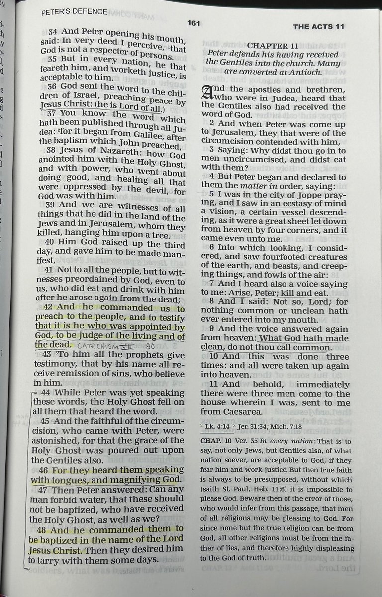 Acts 10:39
And we are witnesses of all things that he did in the land of the Jews and in Jerusalem, whom they killed, hanging him upon a tree.

#HR6090