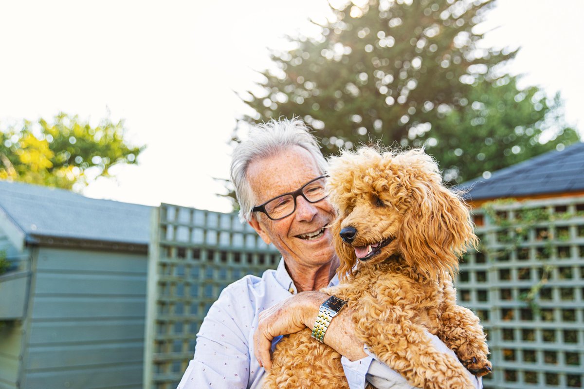 Happy #NationalPetMonth 😺 to all the pet parents out there! Not only do #pets provide love and companionship, they also contribute to #HealthyAging. From @UM_IHPI, see what pet owners age 50+ say are the #HealthBenefits of pets: spr.ly/6016jPYoO