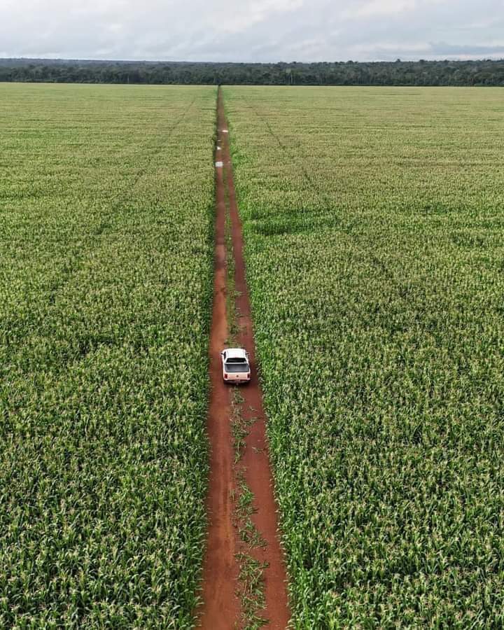 Guess the state in South Sudan? There is a need to invest more in Agriculture if the South Sudan Government has plans to savage its current situation of economic crises #Agrobusiness #SouthSudan