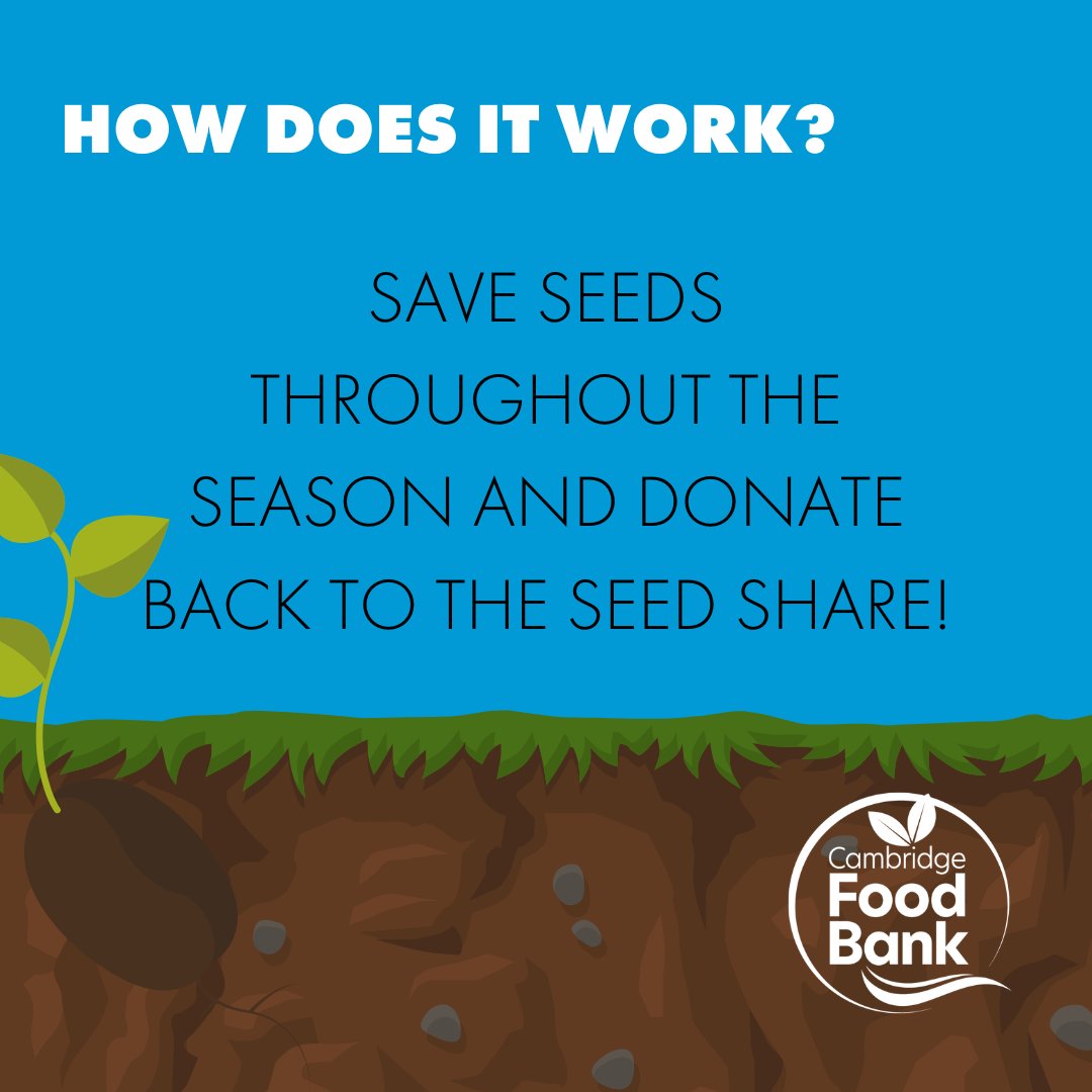 🌱 Join our Seed Share Program! 🌱

Wondering how it works? It's simple!

Let's grow together and make a difference! #SeedShare #CommunityGardening #CambridgeFoodBank 🌻🥦🍅