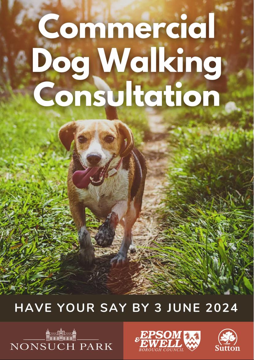 Nonsuch Park Joint Management Committee is seeking park user views on their experiences of dogs in the Park, ahead of possibly implementing measures to control commercial dog walking in Nonsuch. To give your views visit the Epsom and Ewell Borough Council website.