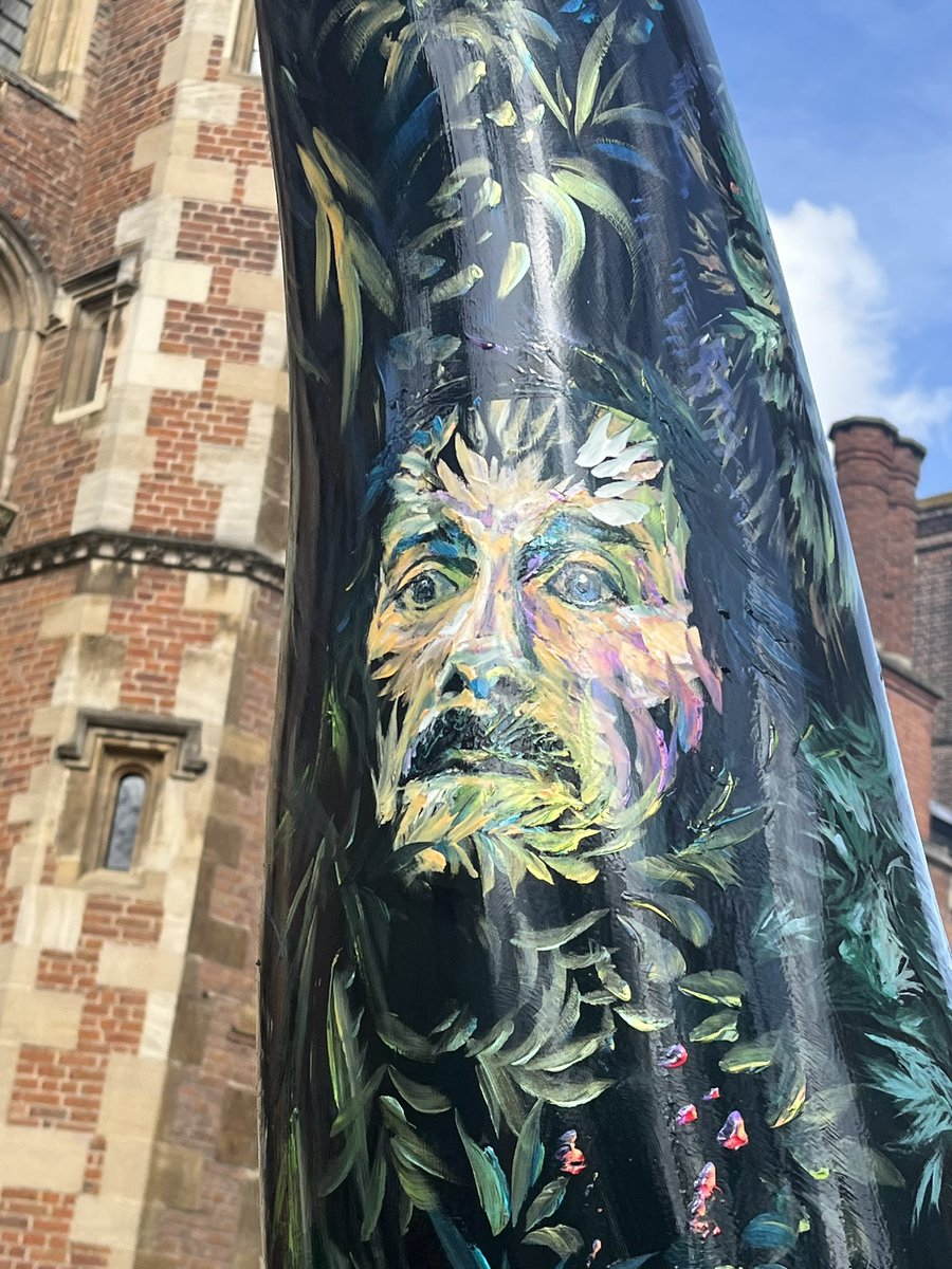 Zing Insights tweet media