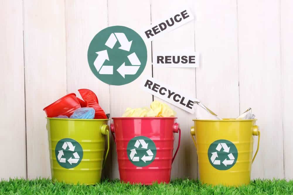 Reduce, reuse, recycle: the three Rs that can change the world. ♻️ #ReduceReuseRecycle #WasteLess #CircularEconomy #EcoLifestyle