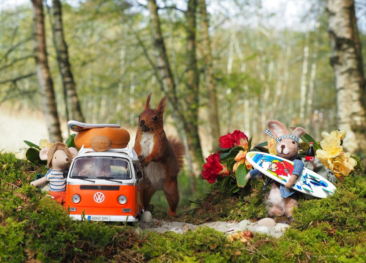 Happy Friday ,the gang is going down to the Jær coast to surf and swim, Lillemor, who for the occasion had dressed up with nature's own make-up, mud and was ready for a weekend of lots of fun by the sea, was everything packed and ready? 😅🤪 Jæren Norway May 2024 @ThePhotoHour