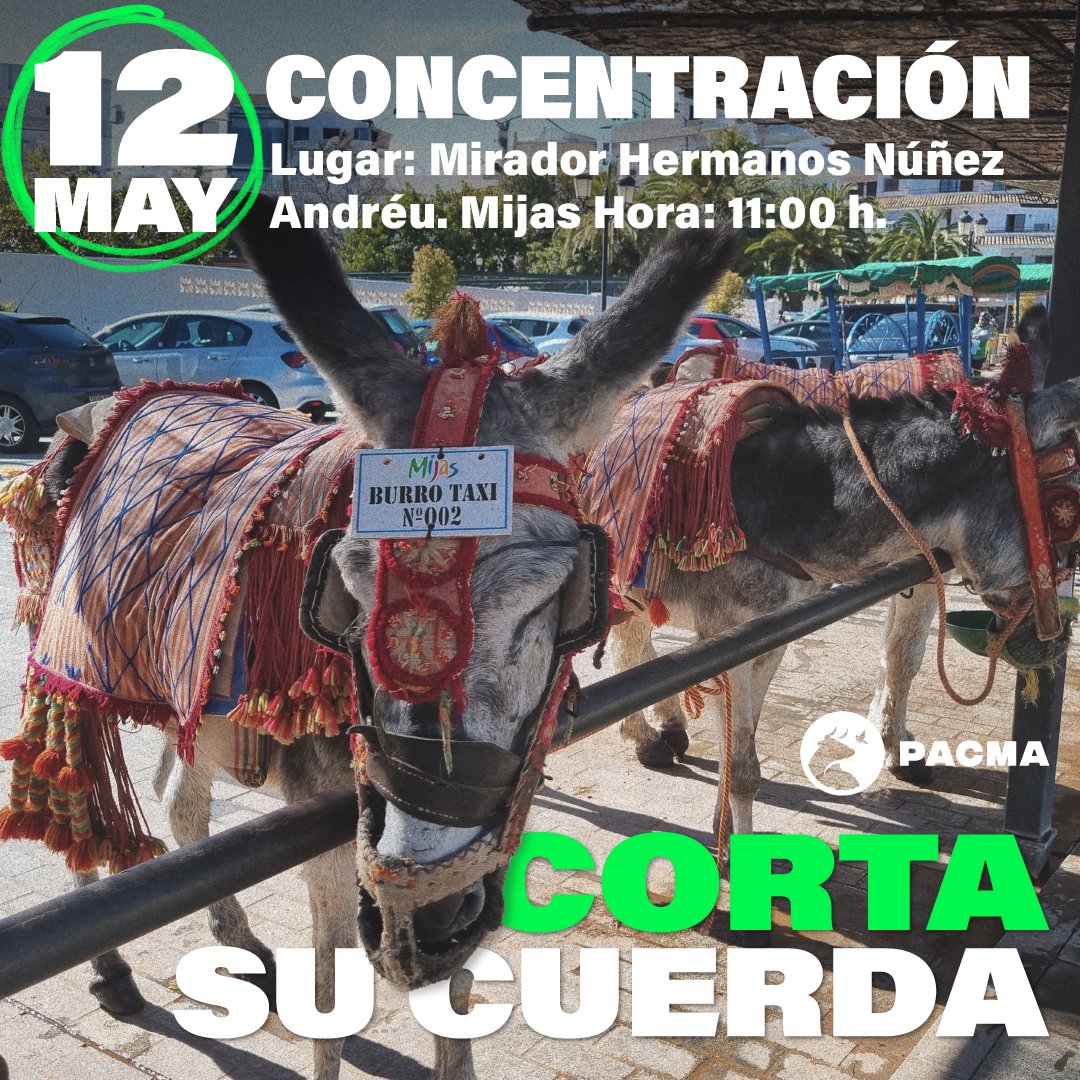 🐴¡El próximo 12 de mayo contamos contigo en Mijas!

Nos concentraremos con el objetivo de acabar con el maltrato de los burrotaxis, a las 11:00 en el Mirador Hermanos Núñez Andréu.

¡Corta su cuerda! ✂️

#CortaSuCuerda #MaltratoAnimal