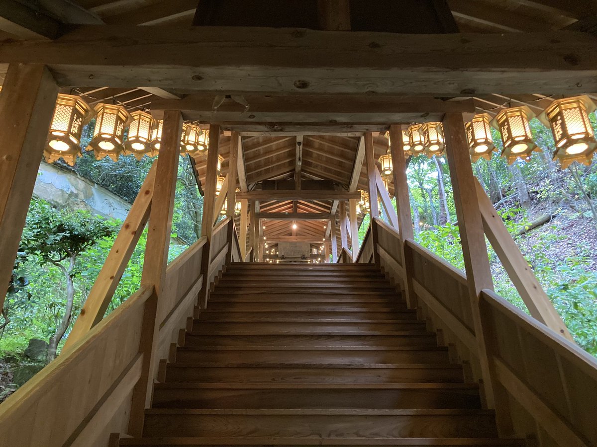 先日参拝した京都のお寺が大変素晴らしかった
有名な花手水は一つひとつ丁寧に花が浮かべられていて、青もみじも美しかった
案内もとても親切だったし、雨の日の夕方だったので参拝客もほぼゼロで
京都でゆったりとした時間を過ごせました😌