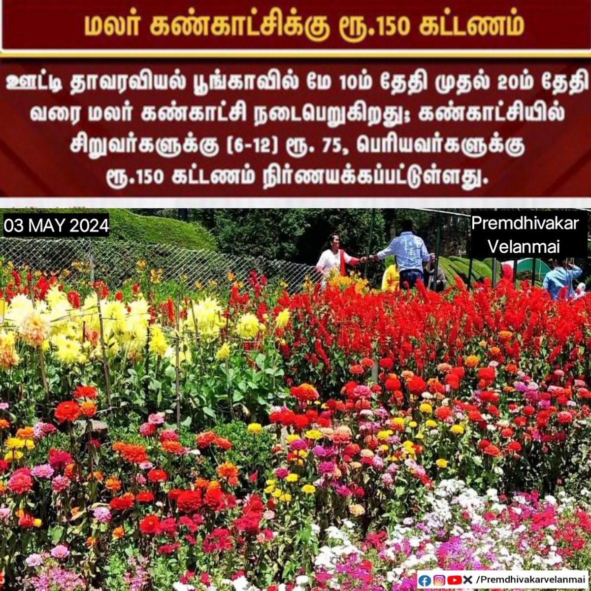 மலர் கண்காட்சி ரூ.150 கட்டணம் #ooty #flowershow2024 #flowershow  #ticketfee #Premdhivakar #premdhivakarvelanmai