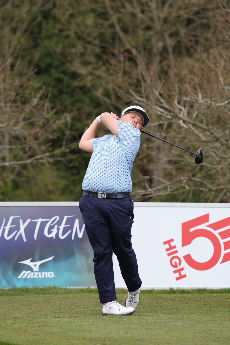 Maxwell Martin tweet media