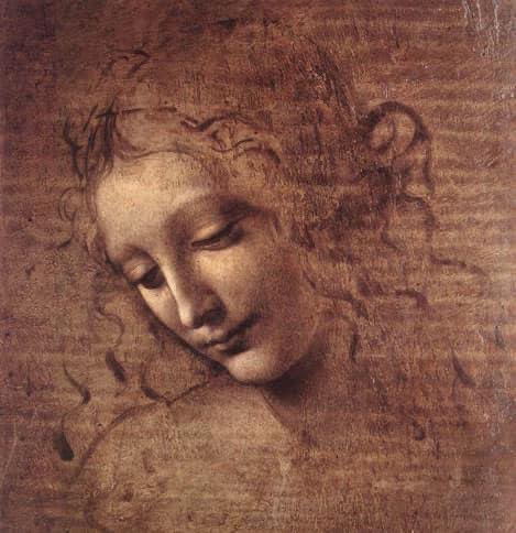 Leonardo da Vinci, Female Head