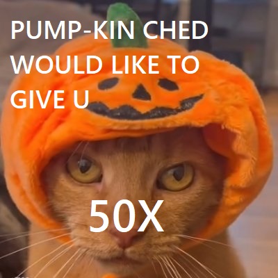 Cheddar Bob (@nekosmilesolana) on Twitter photo 