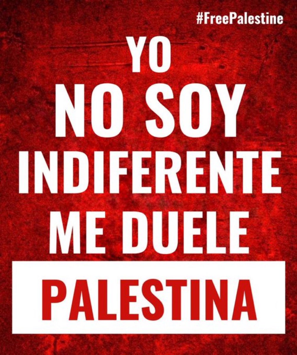Basta ya de tanta barbarie. Es un genocidio evidente lo que ocurre hoy con #Palestine, y no puedo estar indiferente. #FreePalestine #Guantánamo #JuntosPodemosMás #GuerrerosDelGuaso