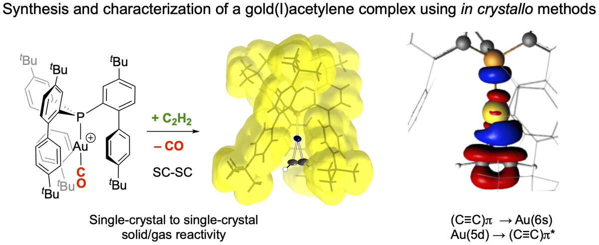 SMOM-Gold! @chloejohnsoon's just accepted @angew_chem, with @MacgregorChem @CamposGroup @miquelnb. Sequential single-crystal solid/gas reactivity to make a Au-acetylene complex. Synthesis, bonding , VT Xray, & NMR (check out the 13C-labelled NMR spectrum) tinyurl.com/5yemfyht