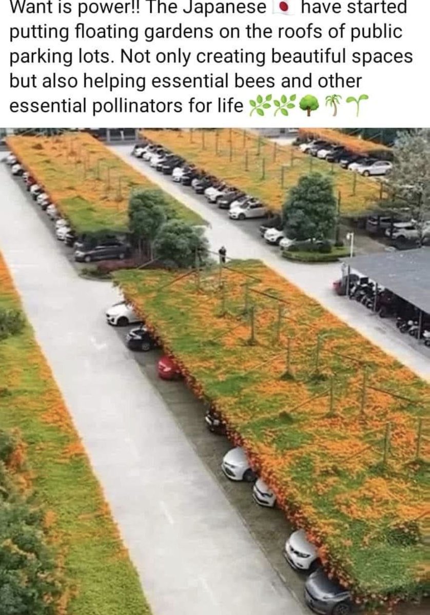 This is what we need in our parking spaces. #Sustainablity #greenroof #greenspaces