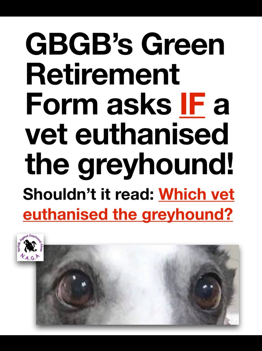 Surely the GBGB is acknowledging greyhounds are not always destroyed by vets when it asks, on the infamous green form, IF a vet has euthanised the greyhound?  This is horrifying! #AnimalAbuse #animalcruelty #youbettheydie #cutthechase #bangreyhoundracing