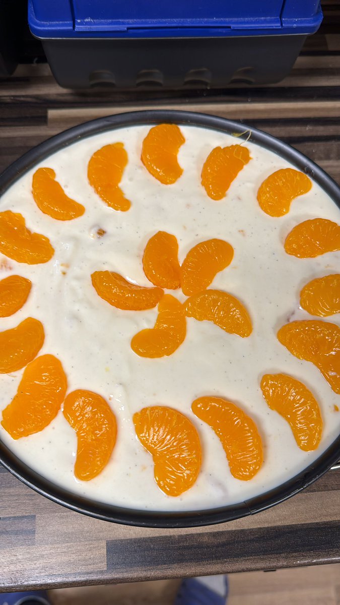 SebbelSebb's tweet image. Erster Versuch Quarkuchen mit Mandarinen und Gries ohne Boden, hoffe er läuft nicht über 😅