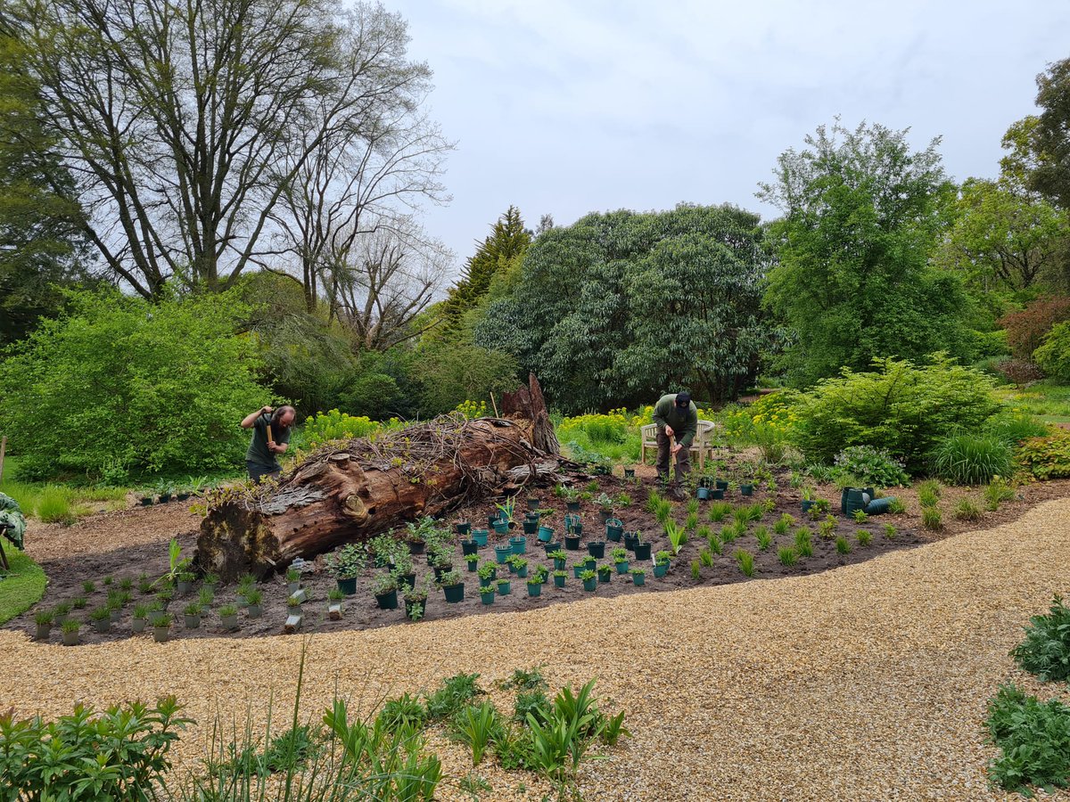 The newly extended area of the Decennium is being planted this week.