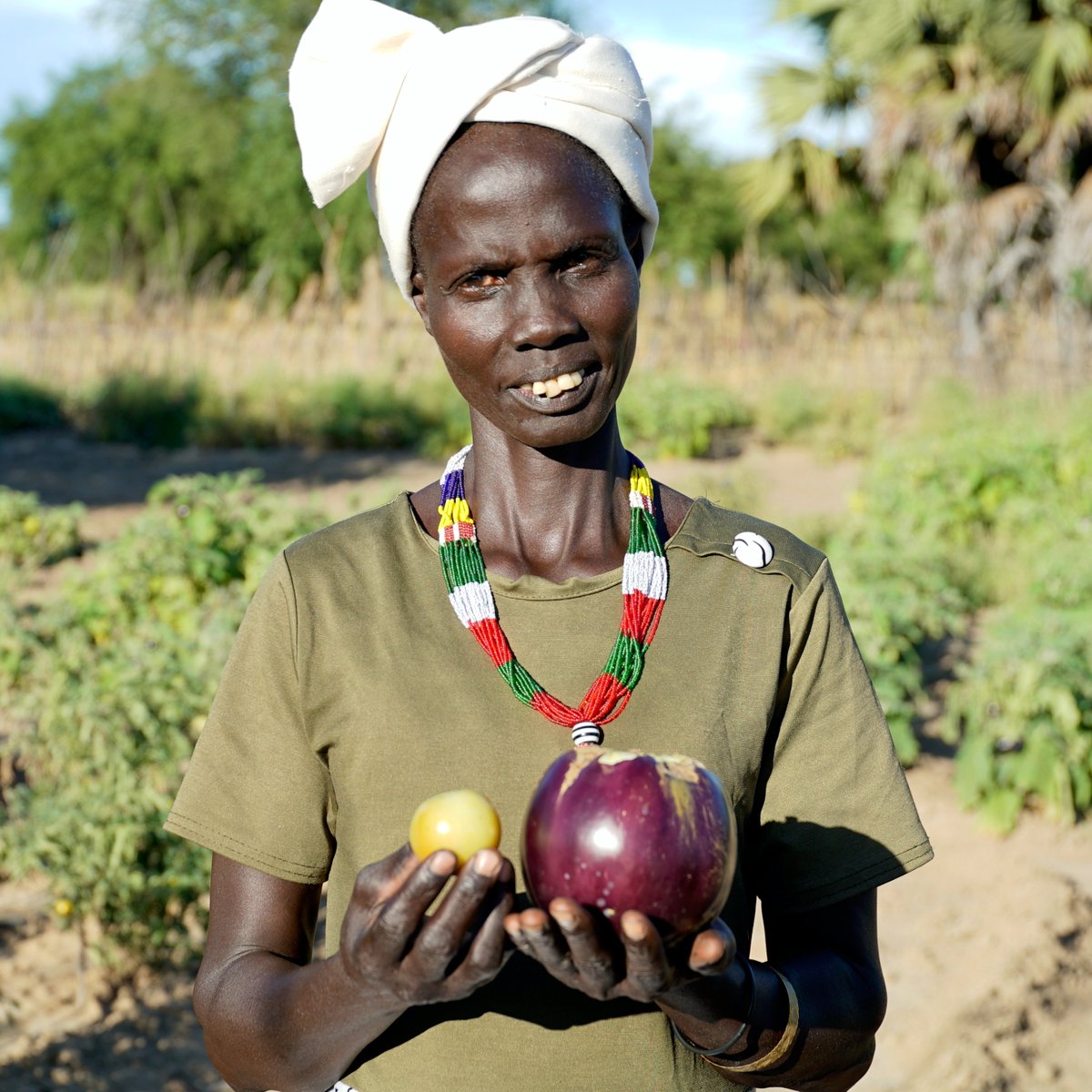 With vegetable gardens, participants of @WFP's resilience programs: ✅receive cash & trainings ✅cultivate their own food ✅can sell their produce for additional income Thank you @CanSouthSudan 🇨🇦 for being a long-standing supporter of WFP's resilience programs in #SouthSudan