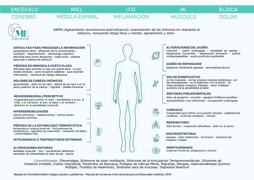 Ya ha empezado el mes de concienciación de la #EncefalomielitisMiálgica (ME) y por ello va hilo con 30 artículos científicos  o guías que todo profesional debería leer.

La idea era publicar uno al día pero la enfermedad manda y ya voy con retraso😅 #MEAwarenessMonth

¡Empezamos!