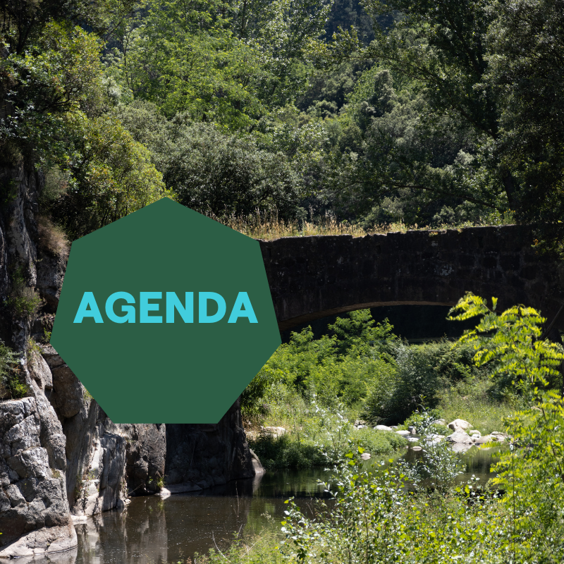 Gaudeix, practica, viu i assaboreix la Selva en alguna de les activitats programades pels pròxims dies. 

Troba-les totes a l'agenda comarcal 👇!

laselvaturisme.com/agenda/ 

#LaSelvaTurisme