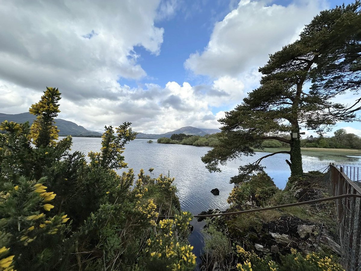 Thanks so much to @AnjaMueller5 for capturing this beautiful photo during a recent stay 💖 #guestphotography #lakeviews #escapetothelake #lakehotelkillarney #guestappreciation #photography