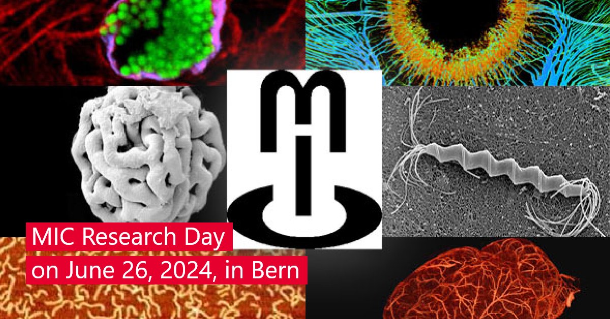 #Microscopy experts and soon-to-be experts in Bern, save this date: The Microscopy Imaging Center (MIC) invites you to the MIC Research Day on June 26, 2024.🗓️📌 For more details and registration: mic.unibe.ch/events/mic_res… @unibern @inselgruppe @DBMR_UniBe @igmp_unibern