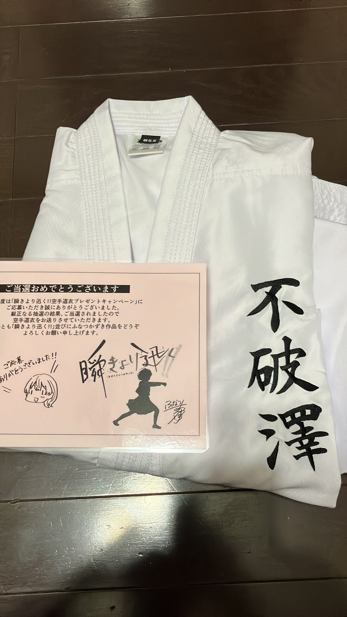 ☆特典15点セット（ふなつかずき／瞬きより迅く!!） ☆特典15点セット（ふなつかずき／瞬きより迅く!!） 瞬きより迅