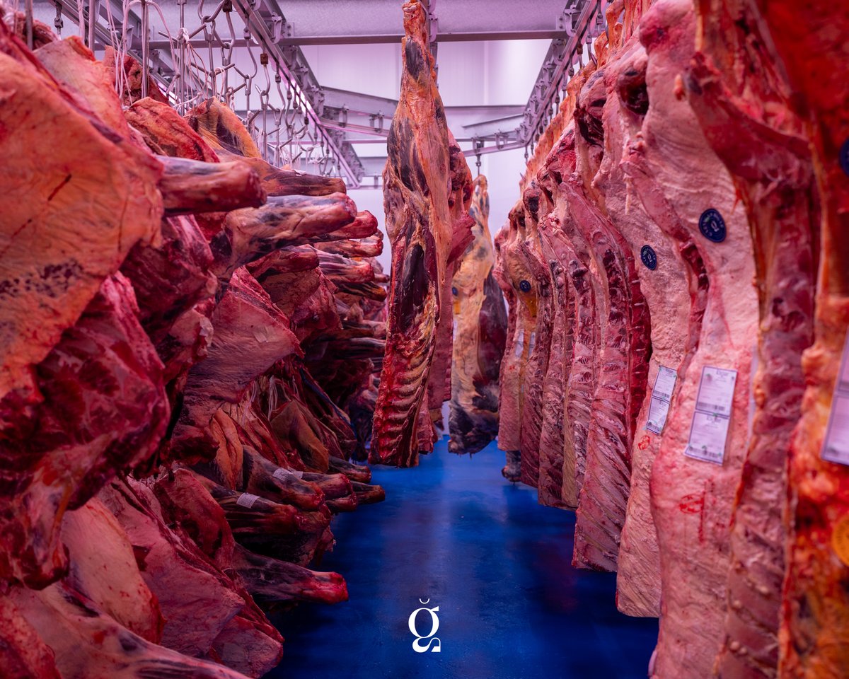 🥩Nuestro templo de la carne es sagrado. 🙏¡Aquí es donde guardamos los productos más especiales, dignos de los mejores festines del Valhalla!🔥

#carnicasrigar #torrox #nerja #velezmalaga #torredelmar #beef #carne #foodie #foodblogger #foodlover #meatlover #malaga #andalucia