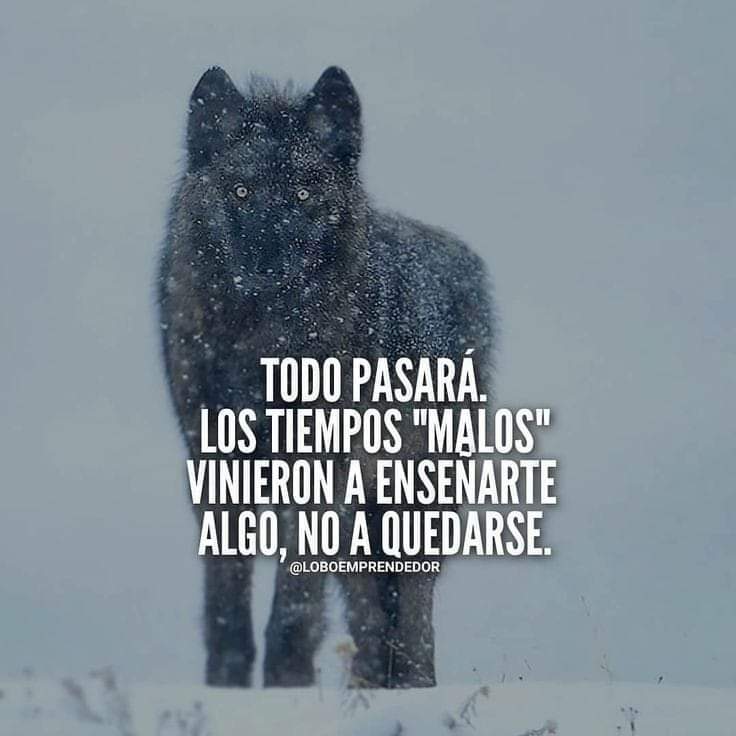 Bendecido Fin de semana 🪢 @PEDROGRILLOROJA @yamilaosorio @FioreMolinelli @FernandoArmasCa @MesiasGuevara @anajarav @ocosava @DeltaMdelta @julianaoxenford @Bunker_pe @EjercitoPeru @ChristophAvilaR @materesadulanto