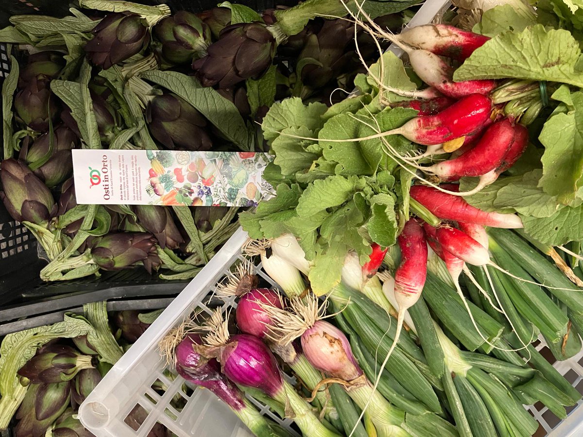 #TrattoriaAnzoloRaffaele #VeniceTip Today we received some fresh vegetables from our garden in Sant’Erasmo. @ostiinorto Are you wondering what we are creating to taste them at their best? To find it out, book your table now! trattoriaanzoloraffaele.it/it/prenota.html