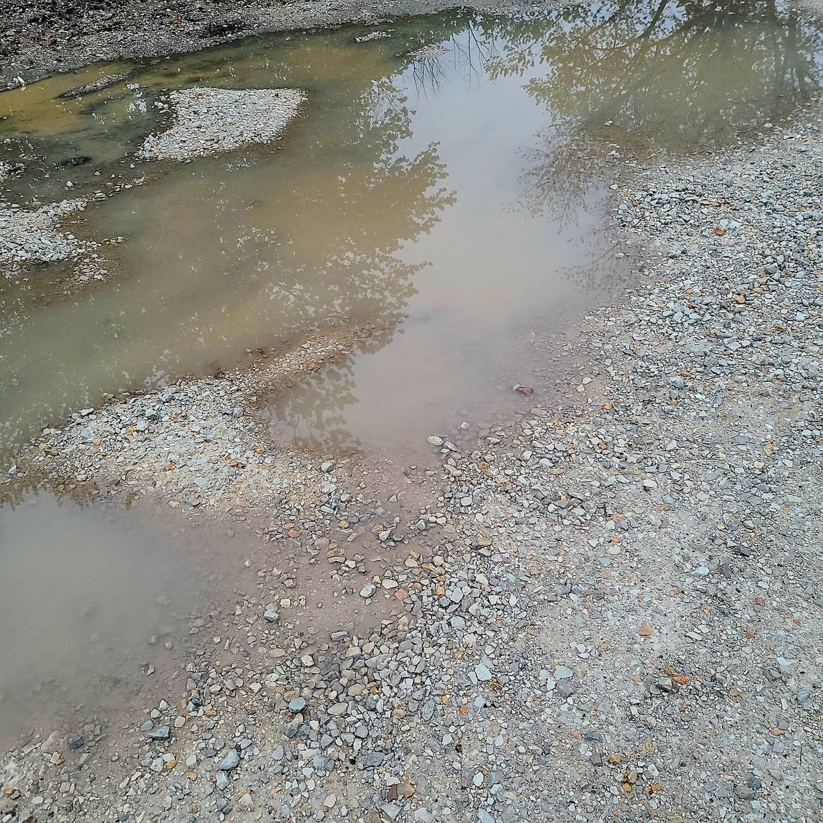 #MuddyPuddleReflections 60F #MorningWalk #Dawn #Sunrise #BestTimeOfDay #WonderingWhileWalking #Photography #TakeAnotherShot #DontLoseFocus #DoItForYou #GetAfterIt #PhotoChallenge2024