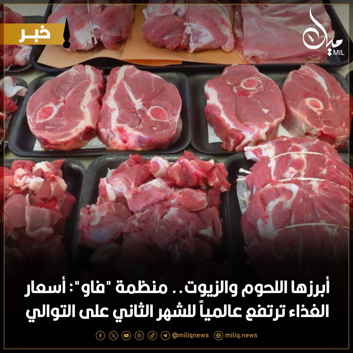 أبرزها اللحوم والزيوت.. منظمة 'فاو': أسعار الغذاء ترتفع عالمياً للشهر الثاني على التوالي

miliq.news/economy/29573-…