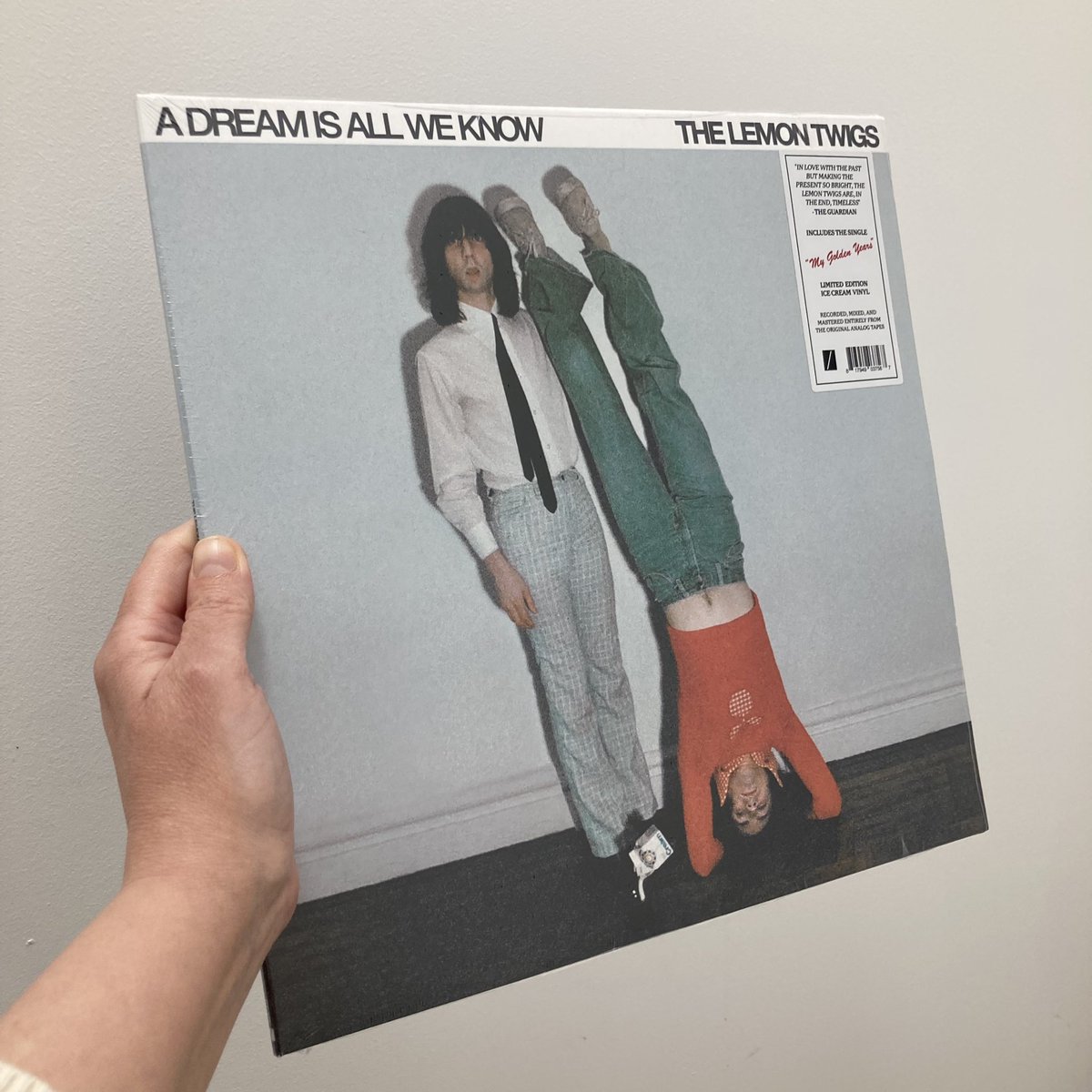 Okay it is miserable out there but the new album from @thelemontwigs is pure sunshine. Do something lovely for yourself today and give it a listen. #NewMusic #vinyl