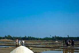 #बांग्‍लादेश के विभिन्‍न भागों में भीषण #गर्मी के बीच 63 वर्षों में #नमक का सर्वाधिक उत्‍पादन हुआ है। कोक्‍स बाजार और चटगांव के बांशखली तटीय क्षेत्र के किसानों ने कहा है कि गर्मी बढ़ने से नमक का उत्‍पादन और बढ़ेगा। है। इस वर्ष नमक का सर्वाधिक 22 लाख 34 हजार टन उत्‍पादन हुआ है।