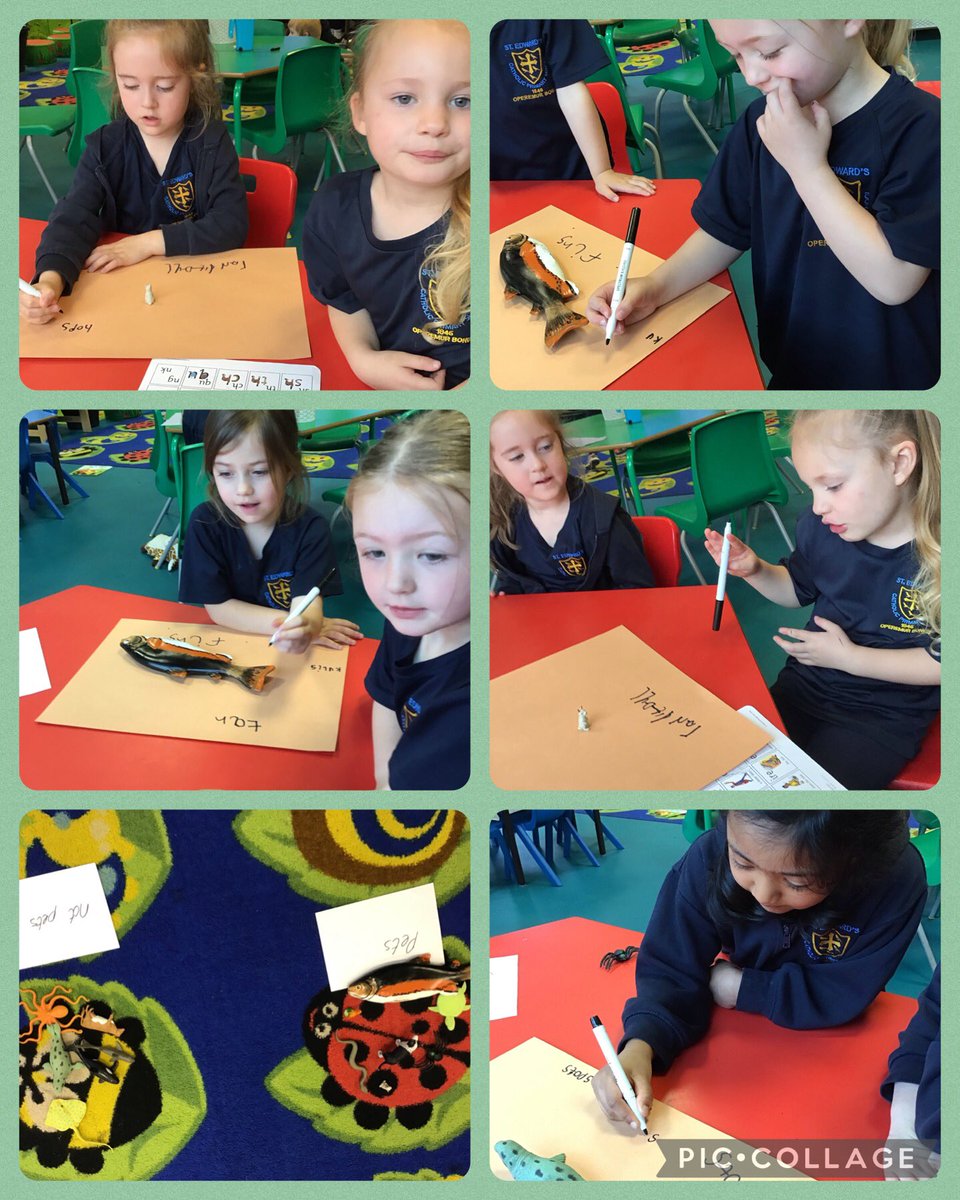 StEdwards_C1's tweet image. Class 1 have done an amazing job of I’d identifying pets and their basic needs.  We talked about which types of animals might be kept as pets and sorted them into 2 groups 🐓🐰🐟🕷️🐳🐍#stedwardsscience #stedwardsscience #stedwardseyfs
