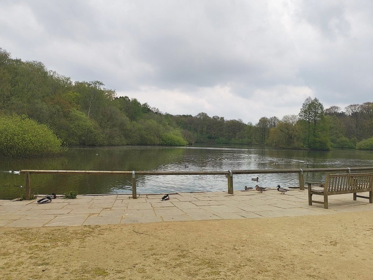 Robert and Sarah recently caught the bus to Goldenacre Park, where they enjoyed looking at the flowers in bloom, sitting by the lakeside to watch the ducks, and having a chat whilst listening to some classical music. Sounds like heaven 😌 #autism #inclusion #springwalks