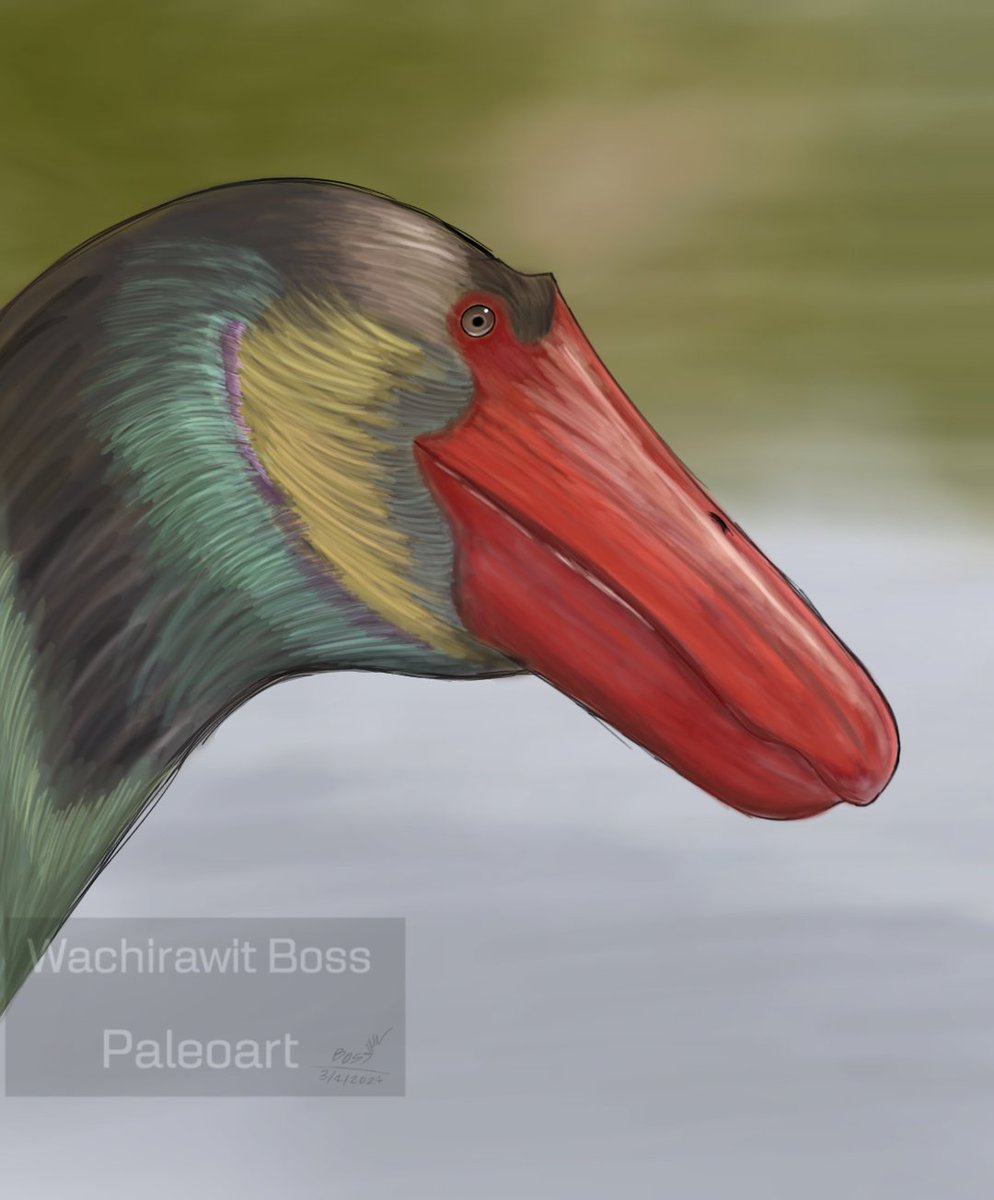 Suchomimus tenerensis 🦖🦕🪿🐊

#paleoart #suchomimustenerensis #blackstork #art #jurassicworld #jurassicpark #prehistoricplanet #prehistorickingdom