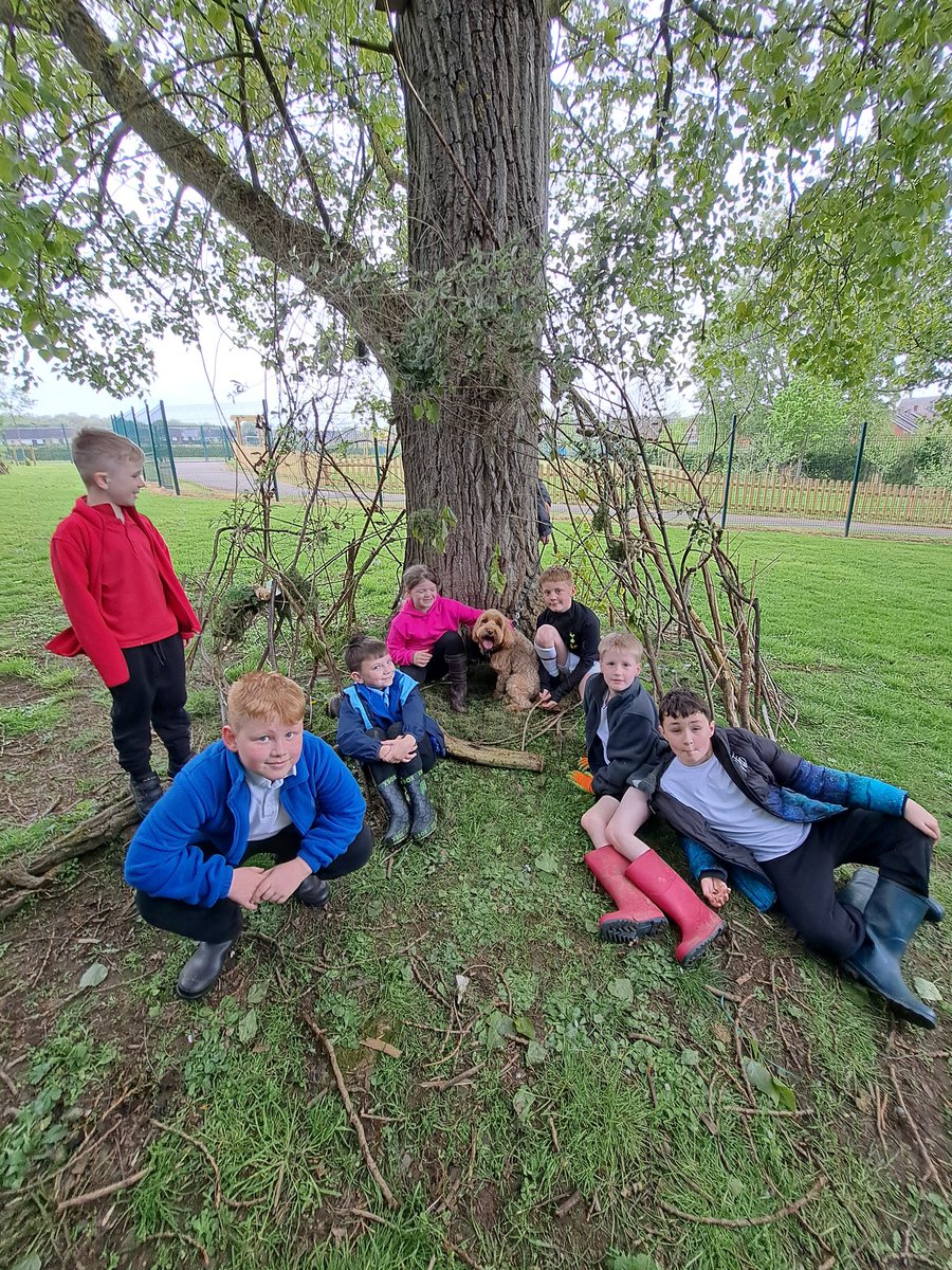 For our Forest School activity at @RockinghamJI the children used their creativity to make a home for our Willow Tree Academy assistance dog Willow.
