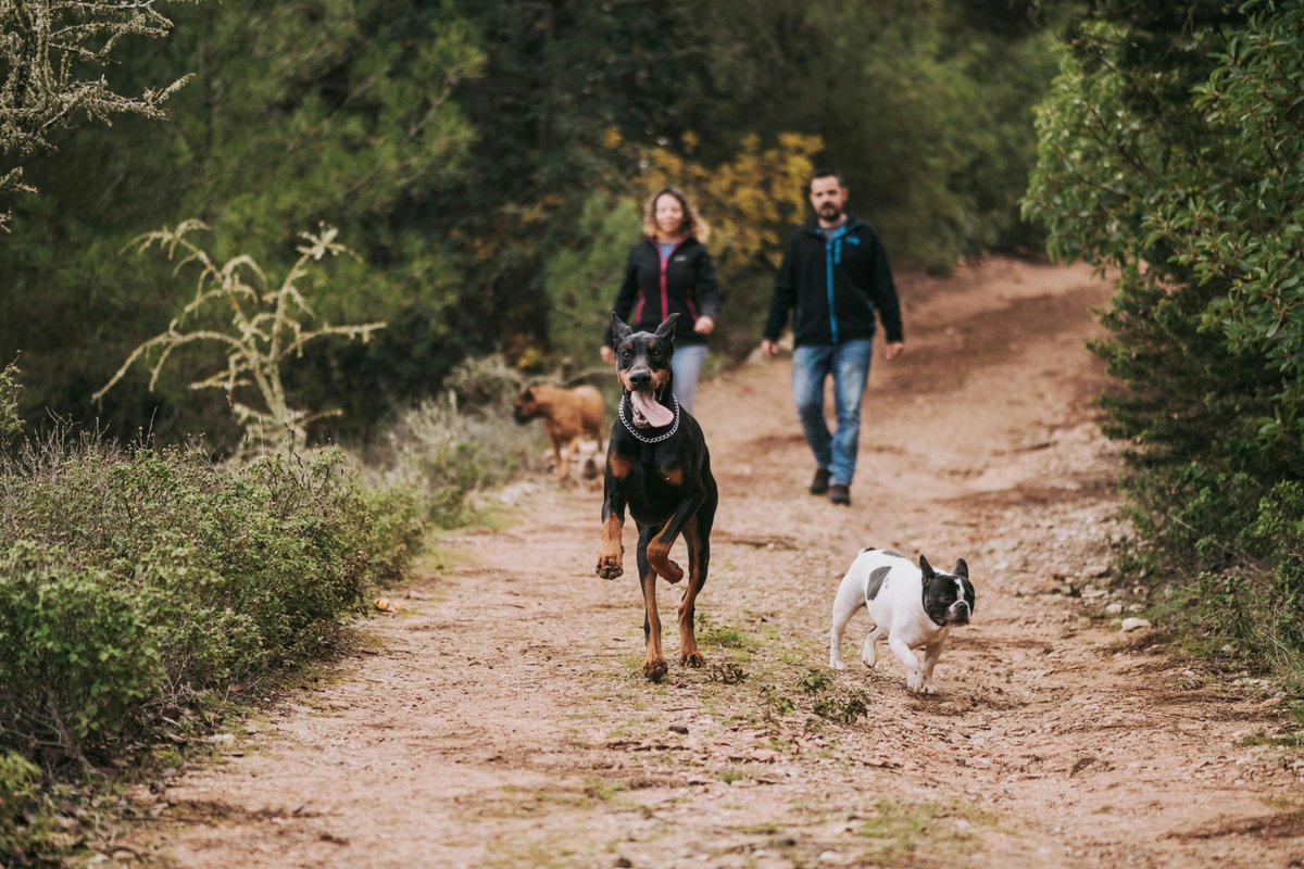 We've reached the end of the workweek and are excited for the upcoming weekend. Looking forward to basking in the spring sunshine and taking a leisurely stroll.

anytimewags.com

#dogproducts #dogsofinstagram #dogs #dog #doglovers #dogaccessories #petproducts #doglover