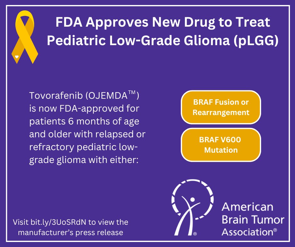 A new oral therapeutic for children diagnosed with pediatric low-grade glioma (pLGG) has received approval by the Food and Drug Administration! 

Click below to view the press release from the manufacturer, Day One Biopharmaceuticals.

bit.ly/3UoSRdN