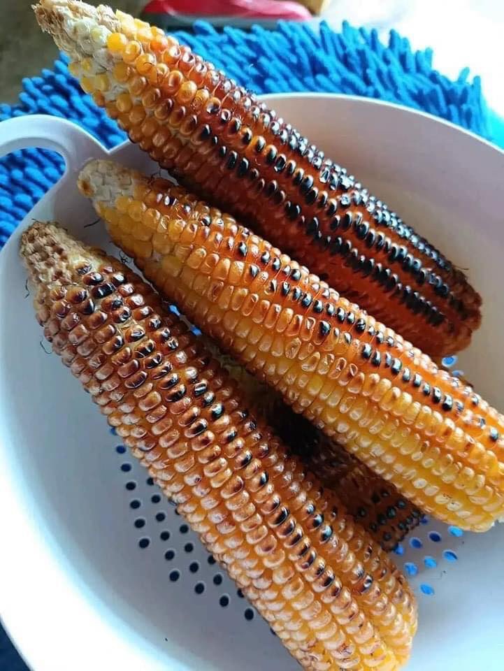 How do you like your corn? Roasted or Cooked??